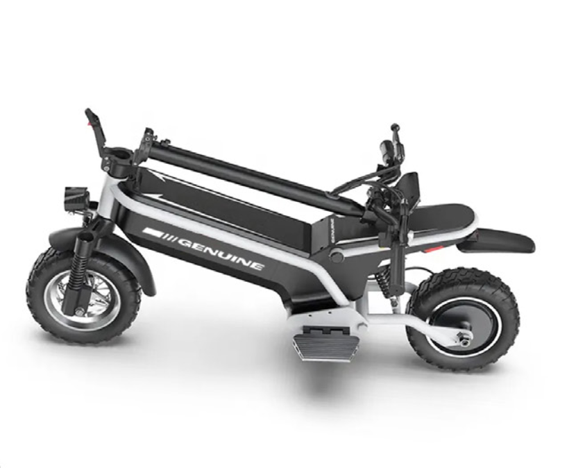 All-Terrain Electric Scooter - 800 Watts