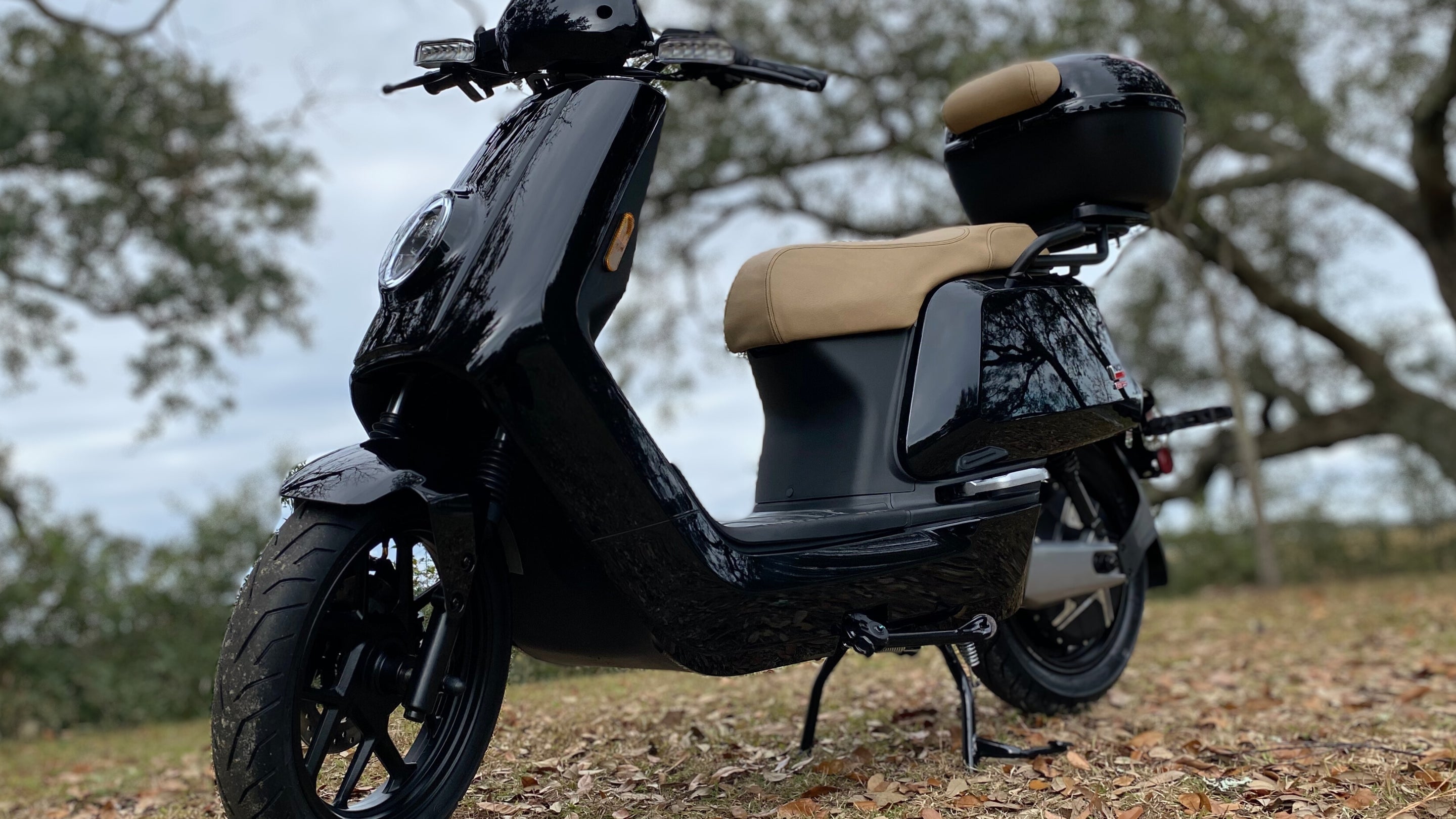 niu gts scooter